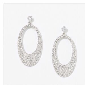 Oval Crystal Silver Earrings